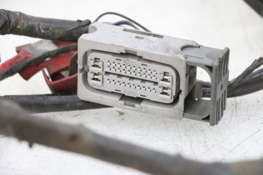 photo de KABELBAUM YAMAHA X-MAX XMAX ABS 250 (2010 - 2014) - Technische Nahaufnahme