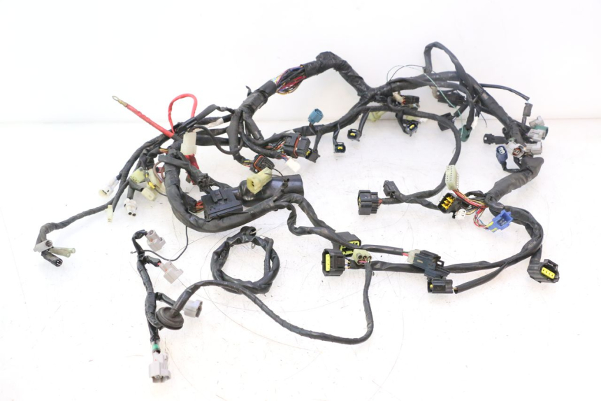 photo de KABELBAUM YAMAHA YZF R6 600 (2008 - 2009) - Hauptansicht