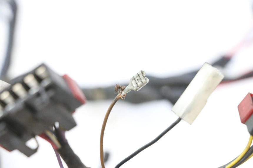 photo de KABELBAUM PIAGGIO ZIP 2T 50 (2009 - 2019) - Detaillierte Sichtprüfung