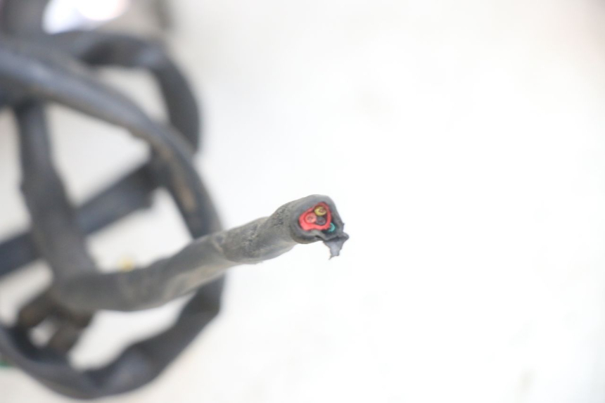 photo de RÜCKLICHT HONDA CA REBEL 125 (1995 - 2001) - Details der Befestigungspunkte