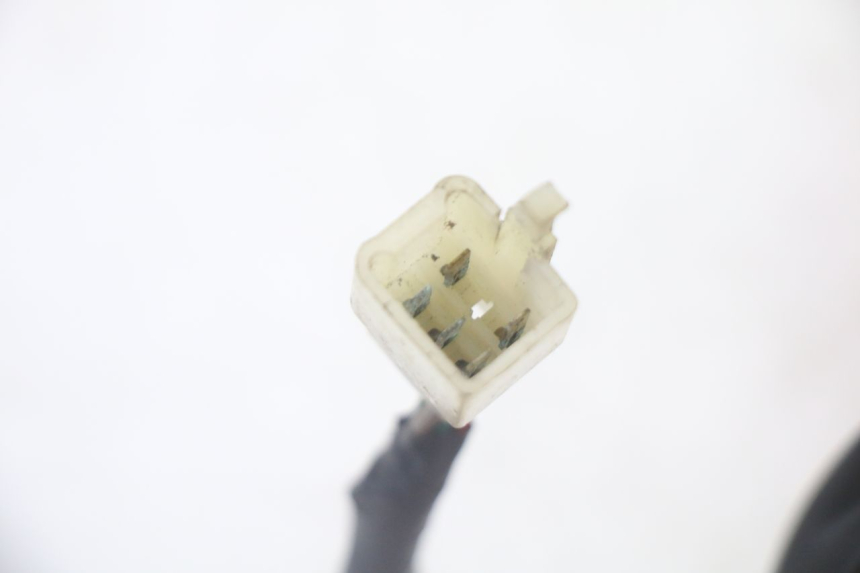 photo de RÜCKLICHT SYM CROX 4T 50 (2016 - 2023) - Charakteristische Merkmale