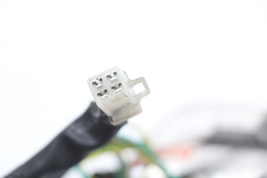 photo de RÜCKLICHT RECHTS PEUGEOT VIVACITY NEW 4T 50 (2008 - 2017) - Gesamtansicht des Produkts