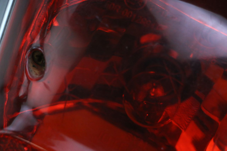 photo de RÜCKLICHT SYM FIDDLE 2 50 (2008 - 2013) - Zoom auf Gebrauchszustand