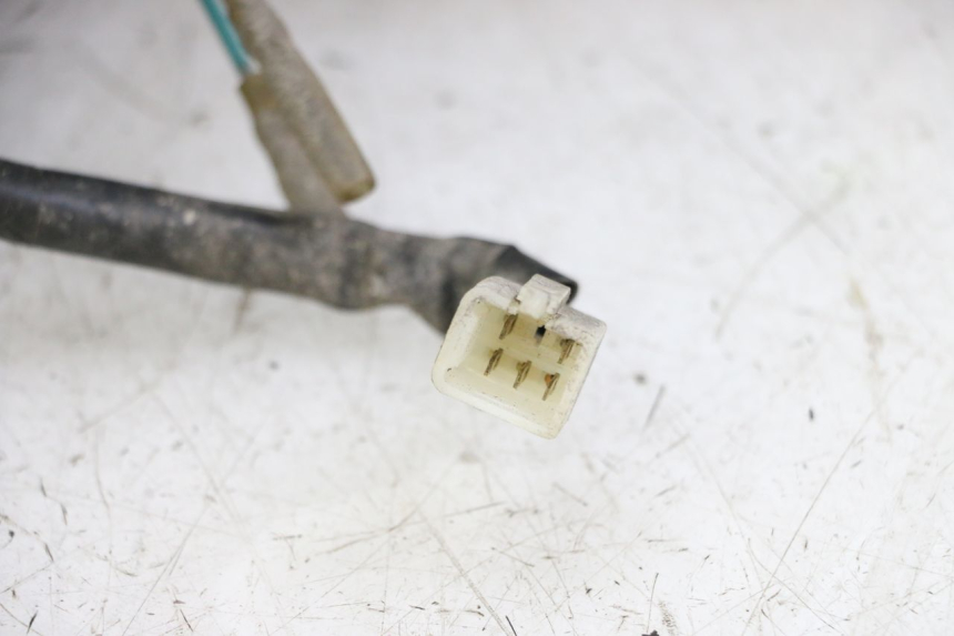 photo de RÜCKLICHT SYM JOYMAX 125 (2010 - 2017) - Technische Nahaufnahme