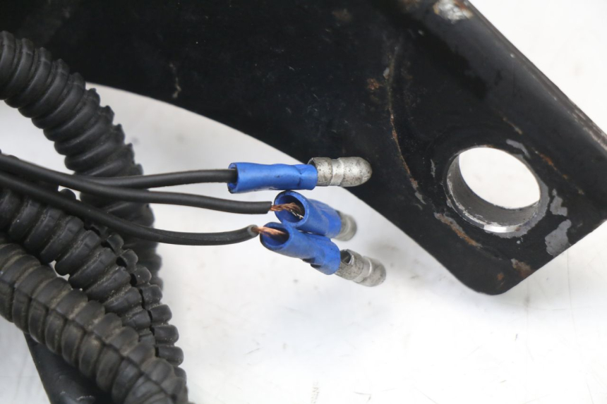 photo de RÜCKLICHT HARLEY DAVIDSON SPORTSTER XL CUSTOM 1200 (2003 - 2004) - Details der Befestigungspunkte