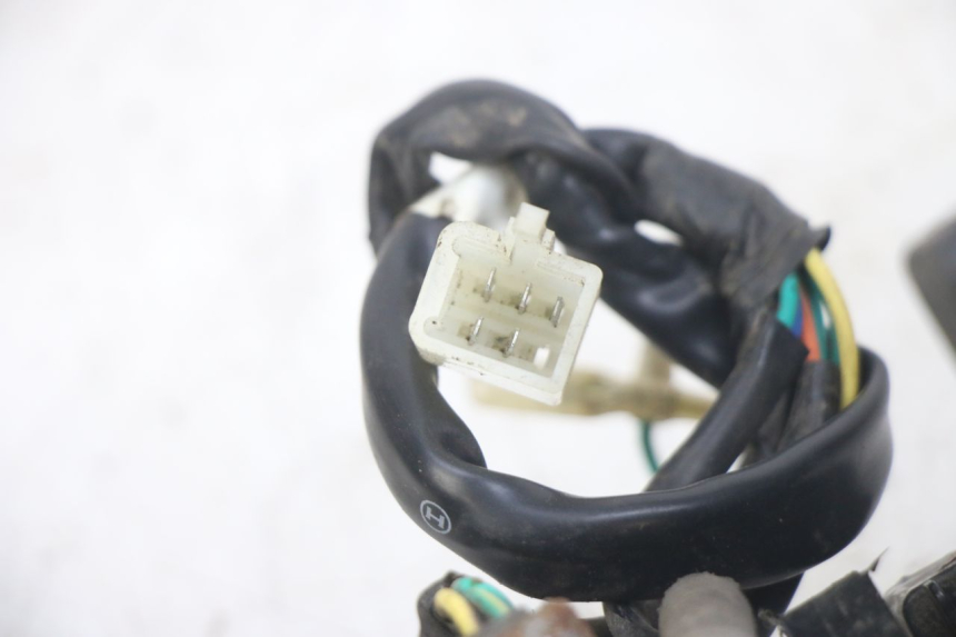 photo de RÜCKLICHT PEUGEOT TWEET 4T 50 (2014 - 2019) - Detailansicht des Bauteils