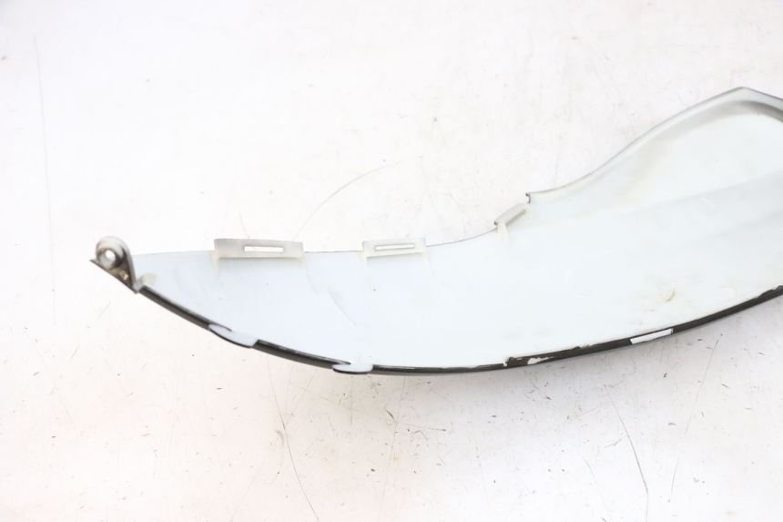 photo de VERKLEIDUNG HINTEN RECHTS LONGJIA DIGITA 4T 50 (2019 - 2022) - Gesamtansicht des Produkts