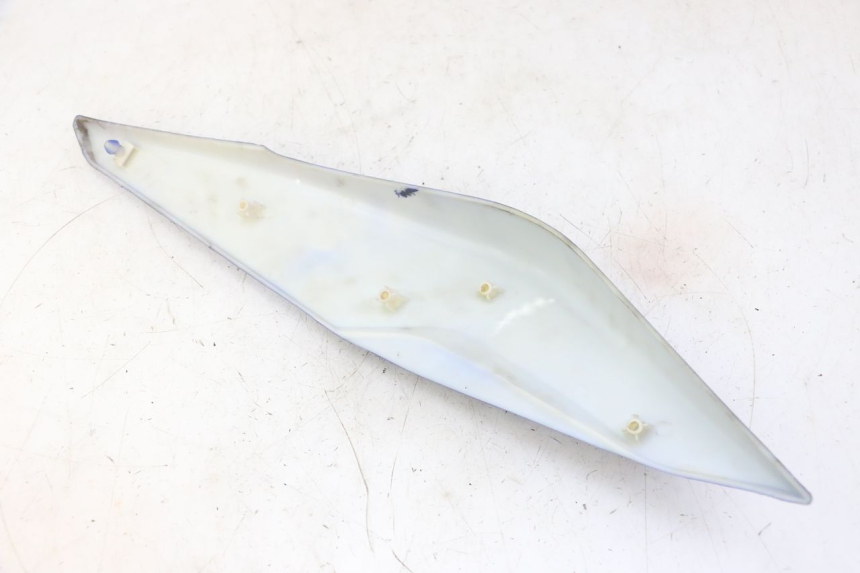 photo de VERKLEIDUNG HINTEN RECHTS STAHO FH 50 (2018 - 2019) - Zoom auf Gebrauchszustand