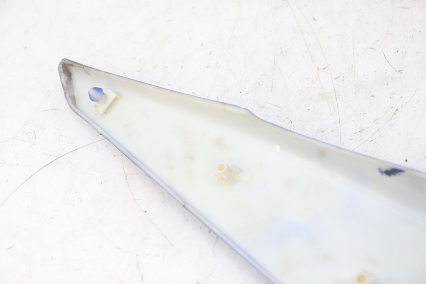 photo de VERKLEIDUNG HINTEN RECHTS STAHO FH 50 (2018 - 2019) - Alternative Perspektive