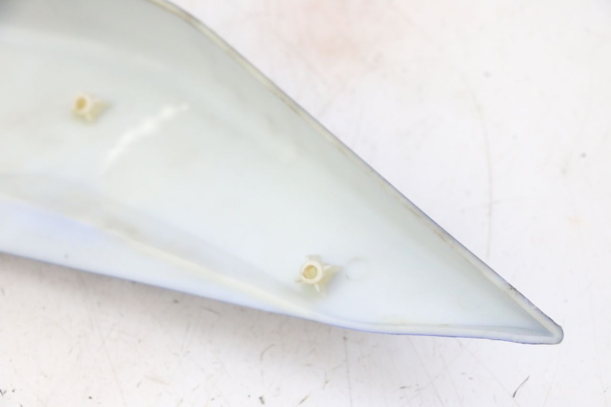 photo de VERKLEIDUNG HINTEN RECHTS STAHO FH 50 (2018 - 2019) - Gesamtansicht des Produkts