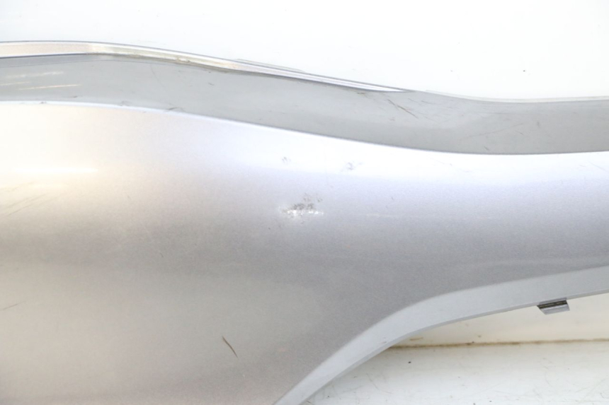 photo de VERKLEIDUNG HINTEN RECHTS HONDA FORZA ABS 300 (2013 - 2017) - Fokus auf die Struktur