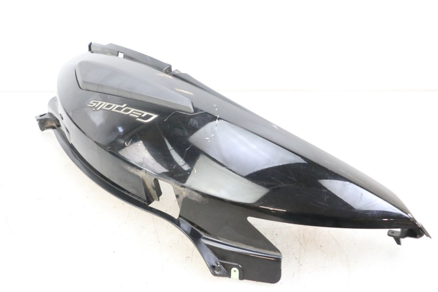 photo de VERKLEIDUNG HINTEN RECHTS PEUGEOT GEOPOLIS RS 125 (2007 - 2009) - Detailansicht des Bauteils