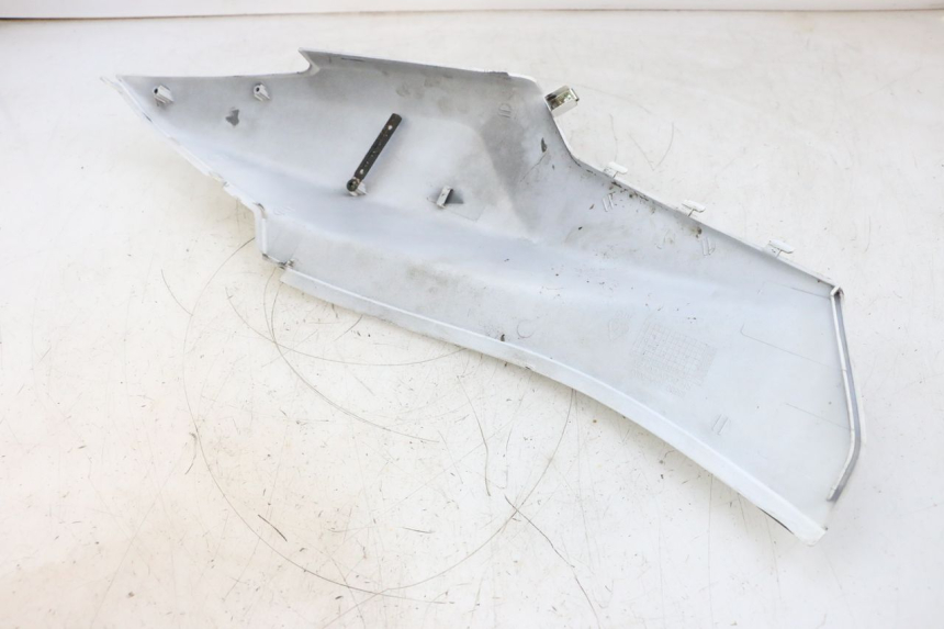 photo de VERKLEIDUNG HINTEN RECHTS SYM ORBIT 2 50 (2008 - 2014) - Gesamtansicht des Produkts