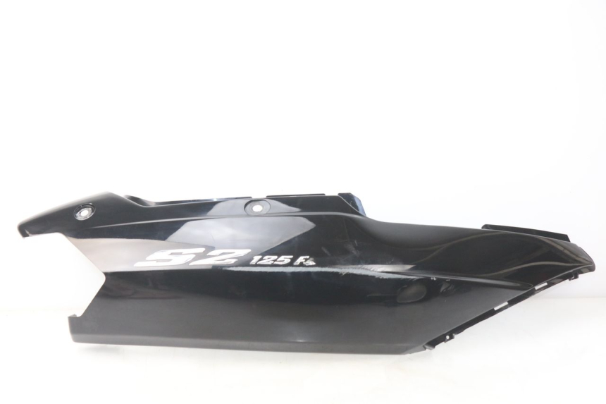 photo de RECHTER HINTERER KOTFLÜGEL DAELIM S2 FI 125 (2008 - 2017) - Hauptansicht