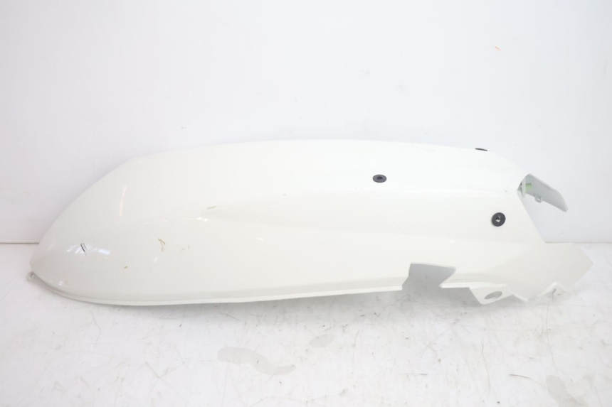 photo de VERKLEIDUNG HINTEN RECHTS PEUGEOT STREETZONE NAKED 2T 50 (2014 - 2018) - Hauptansicht
