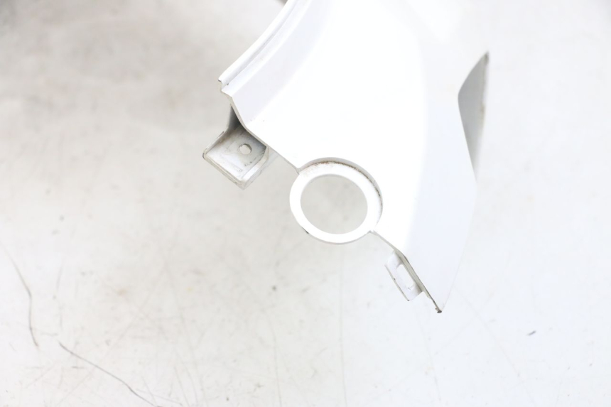 photo de VERKLEIDUNG HINTEN RECHTS PEUGEOT TWEET PRO EFI 4T 50 (2021 - 2022) - Geprüftes Gebrauchtteil