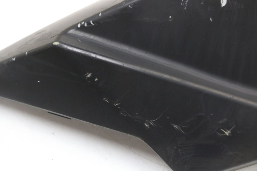 photo de VERKLEIDUNG HINTEN LINKS LONGJIA EASY MAX 125 (2020 - 2024) - Weitere Ansicht des Artikels