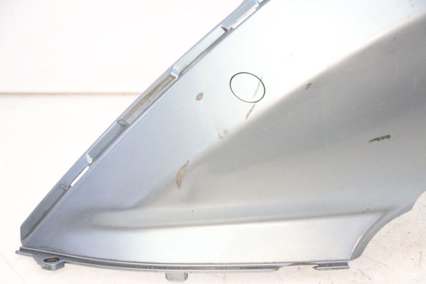 photo de VERKLEIDUNG HINTEN LINKS DAELIM HISTORY 125 (2001 - 2002) - Zoom auf Komponenten