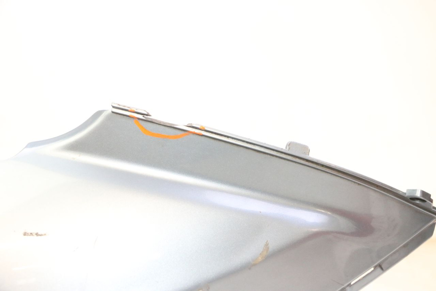 photo de VERKLEIDUNG HINTEN LINKS DAELIM HISTORY 125 (2001 - 2002) - Alternative Perspektive