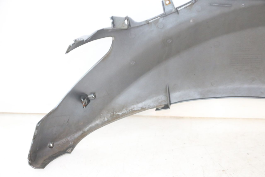 photo de VERKLEIDUNG HINTEN LINKS DAELIM HISTORY 125 (2001 - 2002) - Gesamtansicht des Produkts