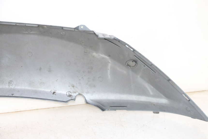 photo de VERKLEIDUNG HINTEN LINKS DAELIM HISTORY 125 (2001 - 2002) - Oberflächenzustand und Material