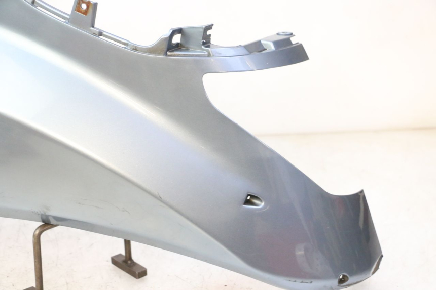 photo de VERKLEIDUNG HINTEN LINKS DAELIM HISTORY 125 (2001 - 2002) - Kennzeichnungen und Originalreferenzen