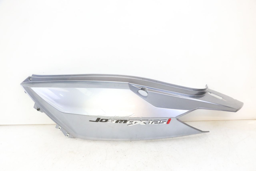 photo de VERKLEIDUNG HINTEN LINKS SYM JOYMAX 125 (2010 - 2017) - Hauptansicht