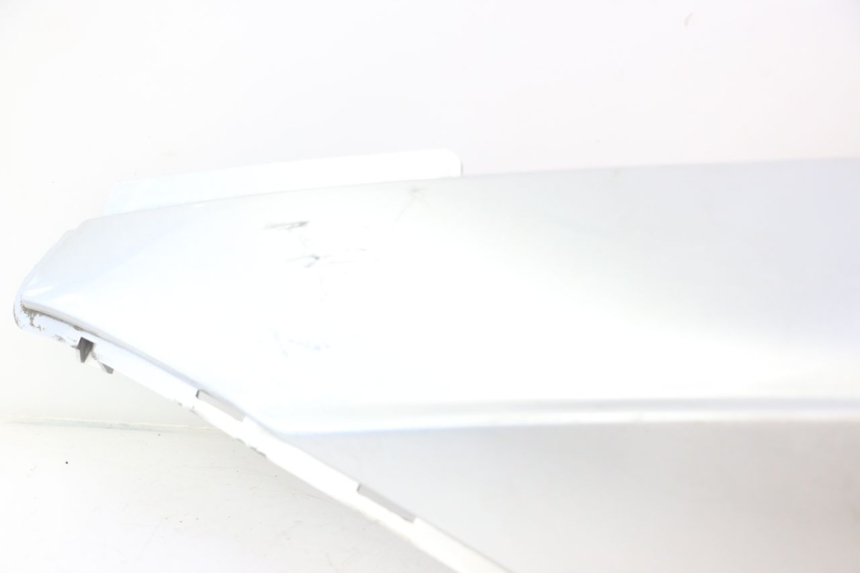 photo de VERKLEIDUNG HINTEN LINKS DAELIM S2 125 (2006 - 2007) - Fokus auf die Struktur
