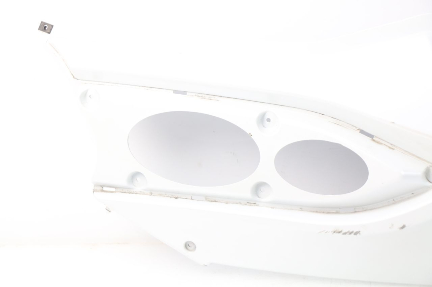 photo de LINKES HINTERES SEITENTEIL DAELIM S3 125 (2010 - 2017) - Charakteristische Merkmale