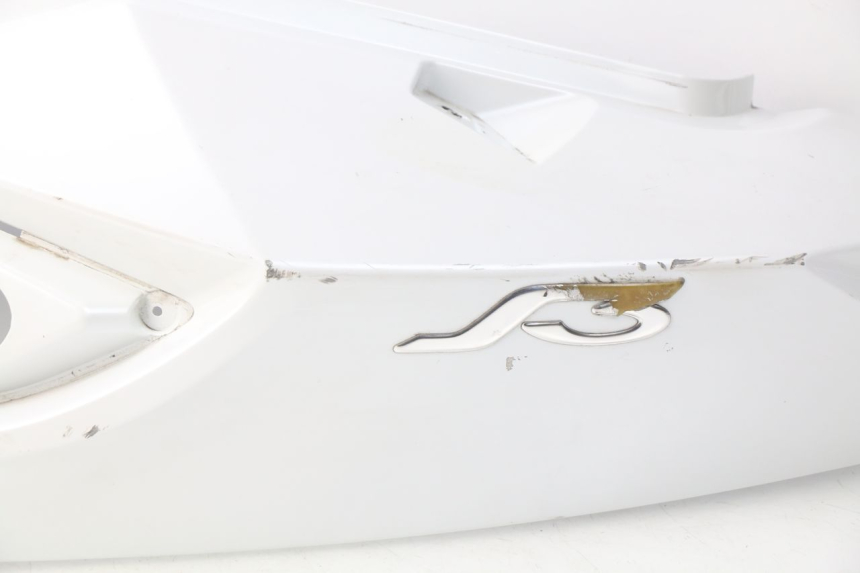 photo de LINKES HINTERES SEITENTEIL DAELIM S3 125 (2010 - 2017) - Hochauflösende Nahaufnahme