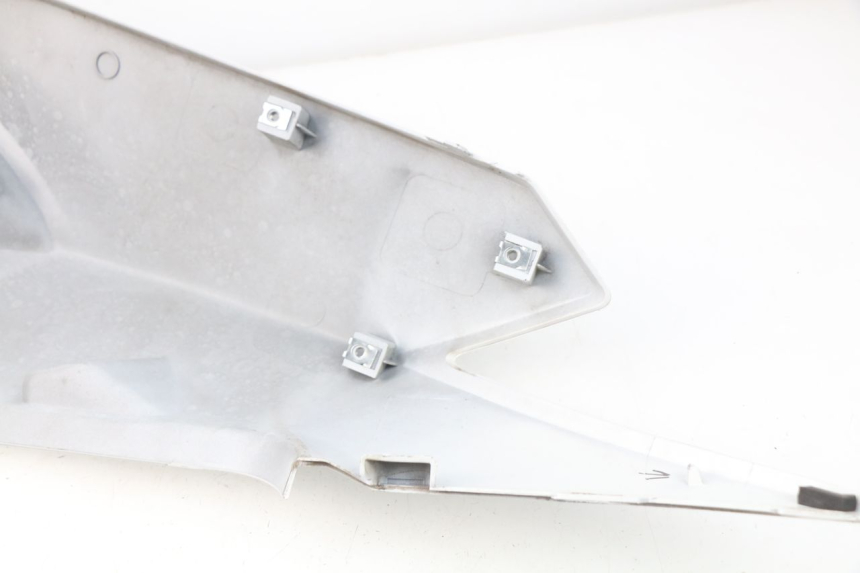 photo de LINKES HINTERES SEITENTEIL DAELIM S3 125 (2010 - 2017) - Gesamtansicht des Produkts