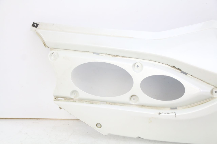 photo de LINKES HINTERES SEITENTEIL DAELIM S3 125 (2010 - 2017) - Hochauflösende Nahaufnahme