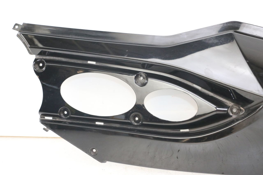 photo de LINKES HINTERES SEITENTEIL DAELIM S3 125 (2010 - 2017) - Hochauflösende Nahaufnahme