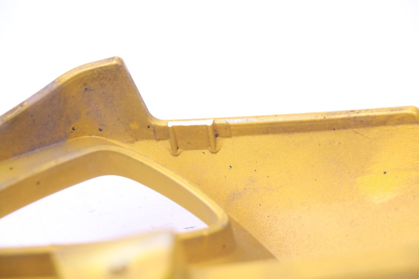 photo de VERKLEIDUNG HINTEN LINKS TRIUMPH SPEED TRIPLE 1050 (2005 - 2007) - Alternative Perspektive