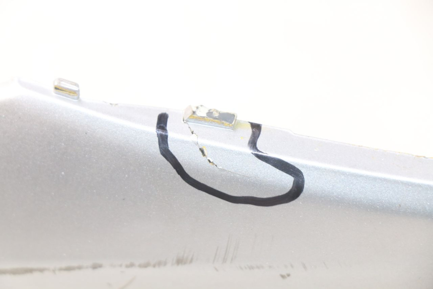 photo de VERKLEIDUNG HINTEN LINKS SYM SYMPHONY 50 (2009 - 2015) - Gesamtansicht des Produkts