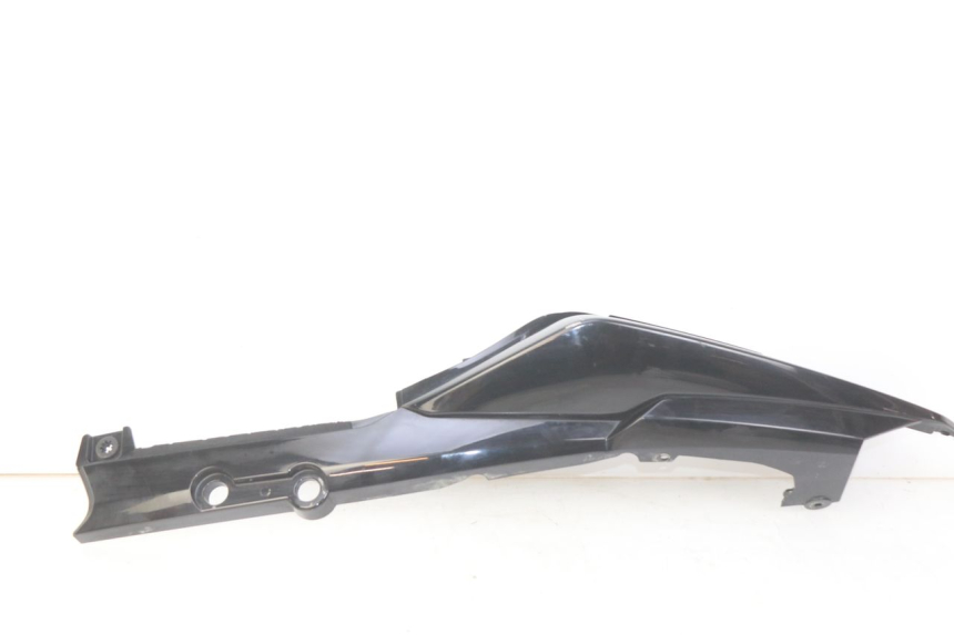 photo de LINKES HINTERES SEITENTEIL SYM WOLF SB 125 (2011 - 2018) - Hauptansicht