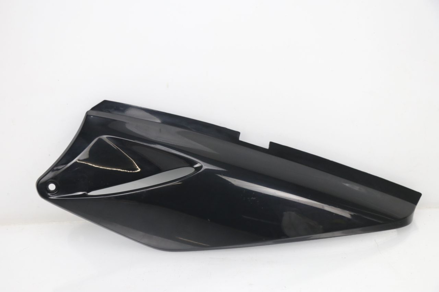 photo de VERKLEIDUNG HINTEN LINKS HONDA XLV VARADERO 125 (2000 - 2006) - Hauptansicht