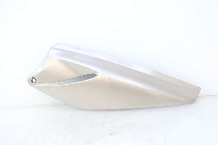 photo de VERKLEIDUNG HINTEN LINKS HONDA XLV VARADERO 125 (2007 - 2012) - Hauptansicht