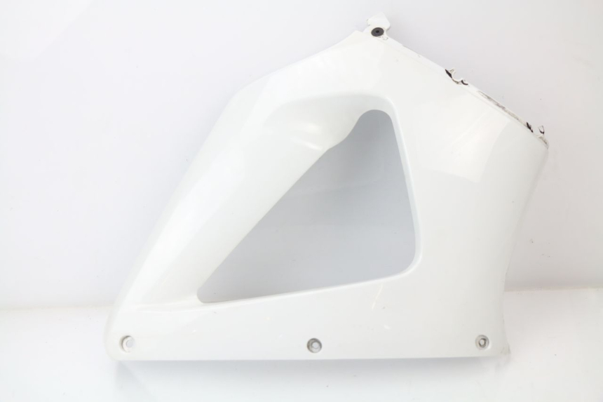 photo de FRONTVERKLEIDUNG RECHTS HONDA CBR 929 RR FIREBLADE 900 (2000 - 2001) - Hauptansicht