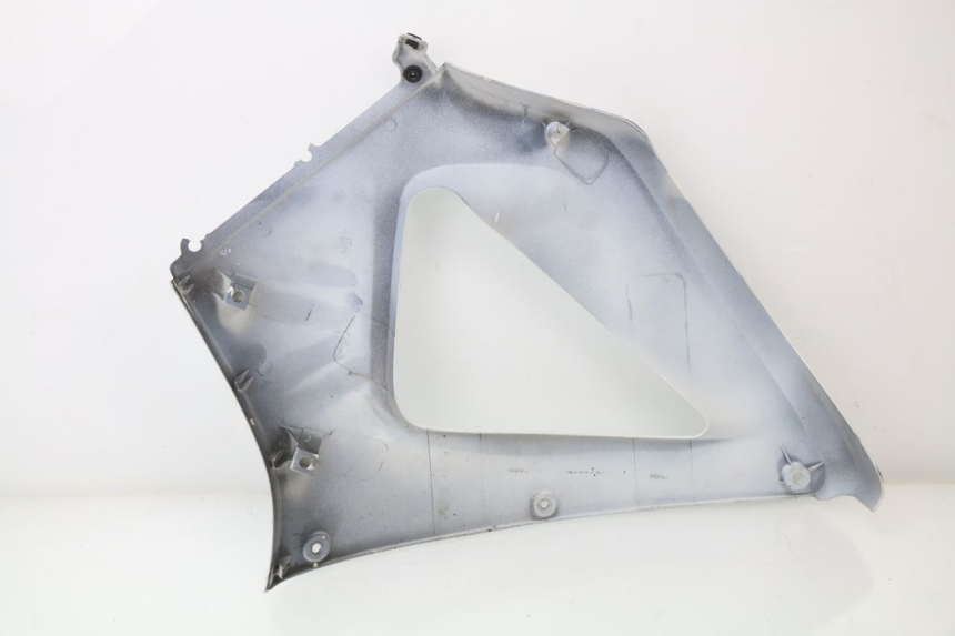 photo de FRONTVERKLEIDUNG RECHTS HONDA CBR 929 RR FIREBLADE 900 (2000 - 2001) - Detailansicht des Bauteils