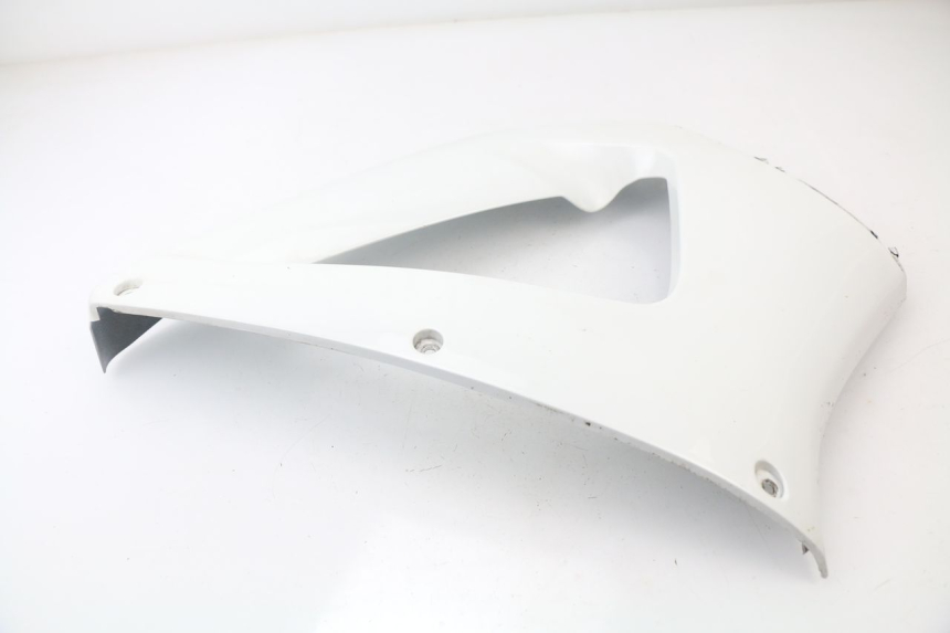 photo de FRONTVERKLEIDUNG RECHTS HONDA CBR 929 RR FIREBLADE 900 (2000 - 2001) - Alternative Perspektive