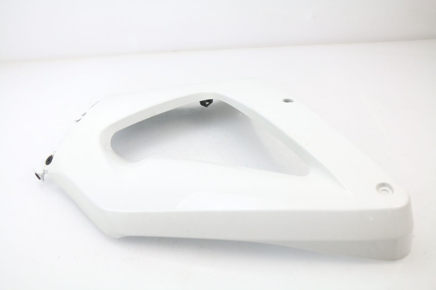 photo de FRONTVERKLEIDUNG RECHTS HONDA CBR 929 RR FIREBLADE 900 (2000 - 2001) - Technische Nahaufnahme