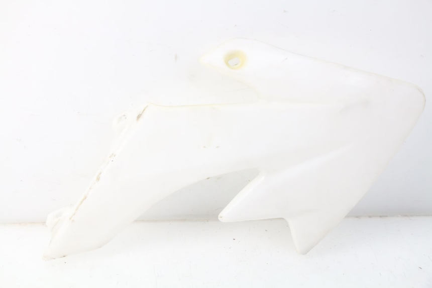 photo de FRONTVERKLEIDUNG RECHTS LIFAN DIRTBIKE 50 - Hauptansicht