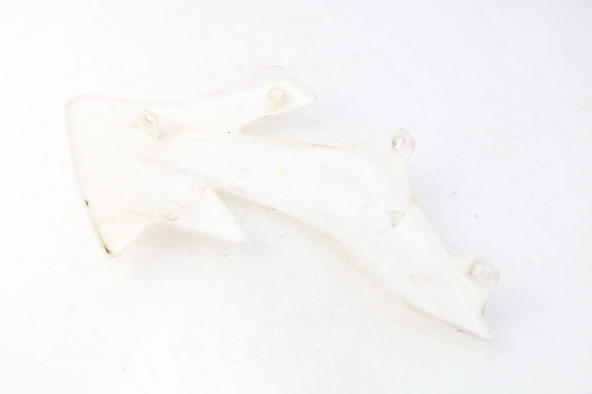 photo de FRONTVERKLEIDUNG RECHTS LIFAN DIRTBIKE 50 - Zoom auf Gebrauchszustand