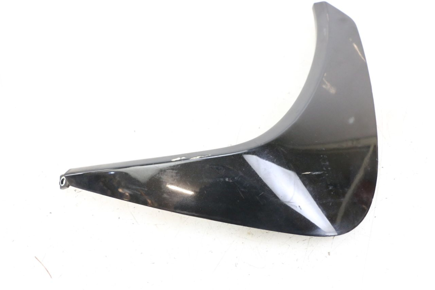 photo de Seitenverkleidung vorne rechts PEUGEOT GEOPOLIS RS 125 (2007 - 2009) - Technische Nahaufnahme