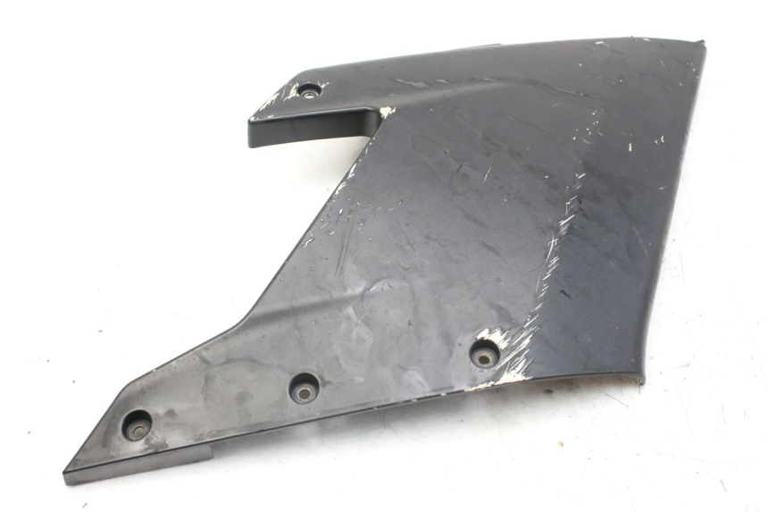 photo de RECHTER VORDERER SEITENWAND DERBI GPR 50 (2004 - 2009) - Oberflächenzustand und Material