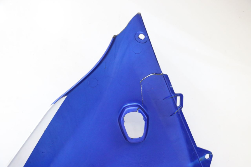 photo de FRONTVERKLEIDUNG RECHTS SUZUKI GSX F GSXF 650 (2007 - 2015) - Gesamtansicht des Produkts