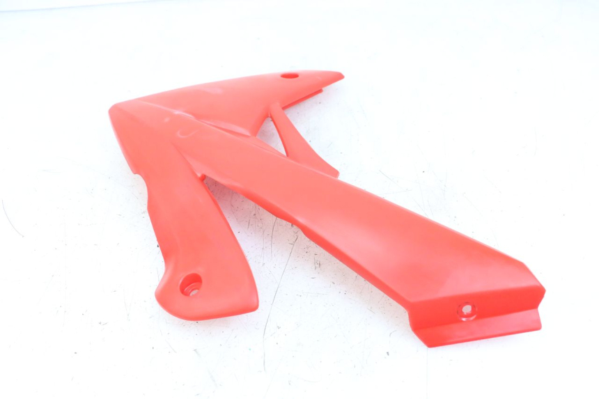 photo de FRONTVERKLEIDUNG RECHTS RIEJU MRT 50 (2018 - 2021) - Alternative Perspektive