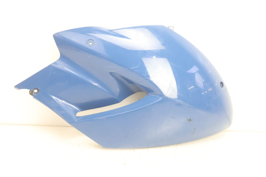 photo de RECHTS VORDERSEITENVERKLEIDUNG YAMAHA TDM ABS 900 (2002 - 2014) - Hauptansicht