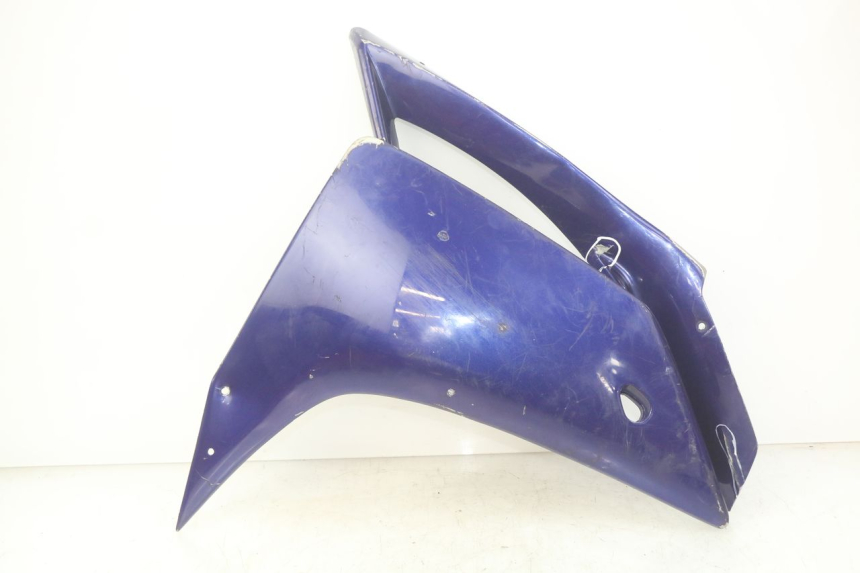 photo de RECHTER VORDERER SEITENWAND YAMAHA YZF R1 1000 (2007 - 2008) - Hauptansicht
